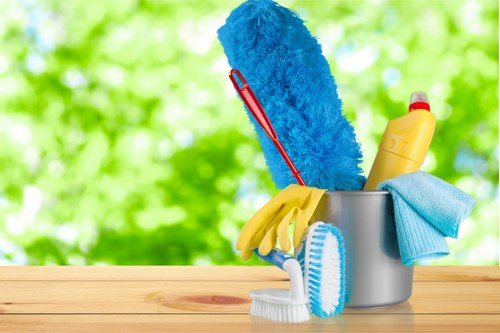 Professional cleaners in Hollandpark working in a modern living room