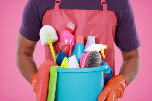 Professional oven cleaning in a Hollandpark kitchen