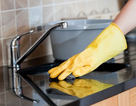 Clean carpet being refreshed in a Hollandpark home