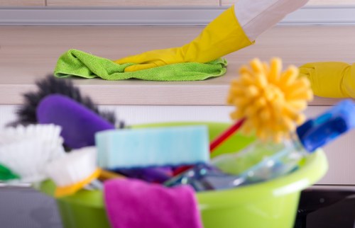 Professional sofa cleaning in Hollandpark for a fresh living room