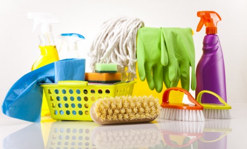 Professional cleaner in Hollandpark preparing a bright living room