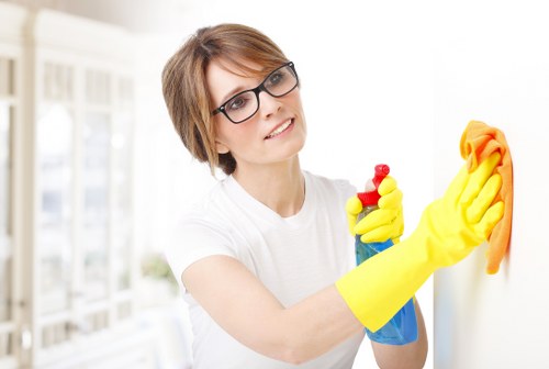Experienced Hollandpark cleaners finishing a spotless residential property
