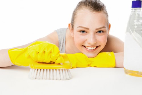 Local house cleaning in Hollandpark for a clean and organized home