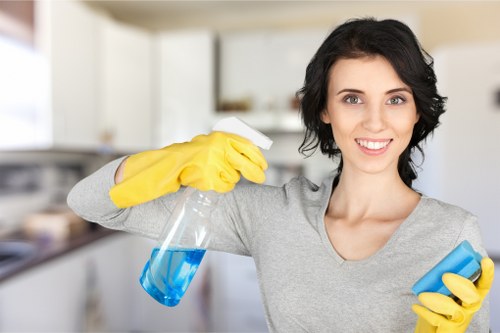 Commercial deep cleaning in a Hollandpark office workspace
