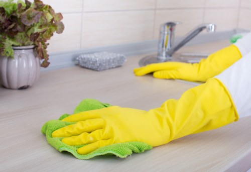 Professional clearance service preparing a Hollandpark property