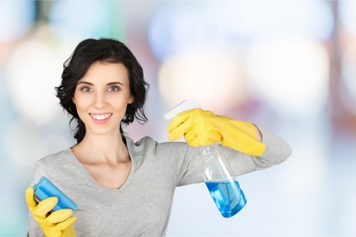 Cleaner in Hollandpark performing detailed kitchen cleaning