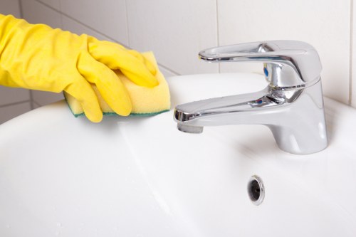 Deep carpet cleaning equipment in a Hollandpark home
