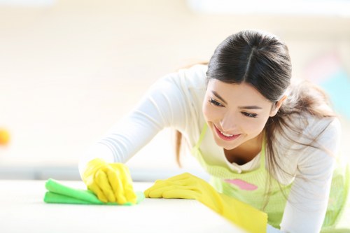 Quote factors for carpet cleaning in busy Holland Park properties