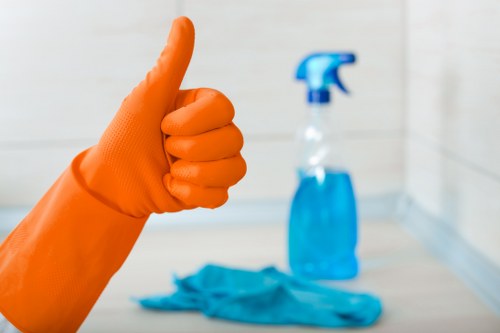 Local cleaning professionals providing deep cleaning services in Hollandpark