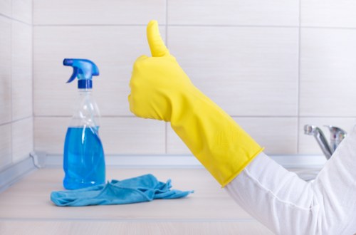 End of tenancy deep cleaning in a Hollandpark property