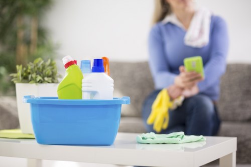 Domestic carpet cleaning and stain treatment in a home interior