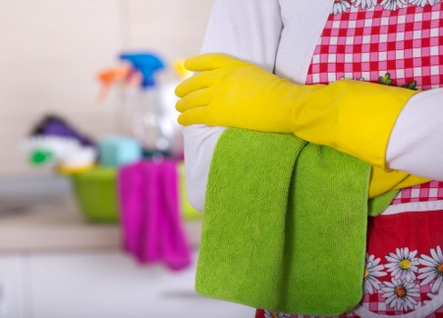 Carpet cleaning process in progress inside a home interior