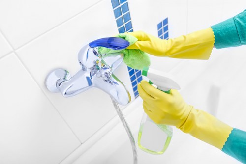 Deep cleaning a family home in Hollandpark with attention to detail