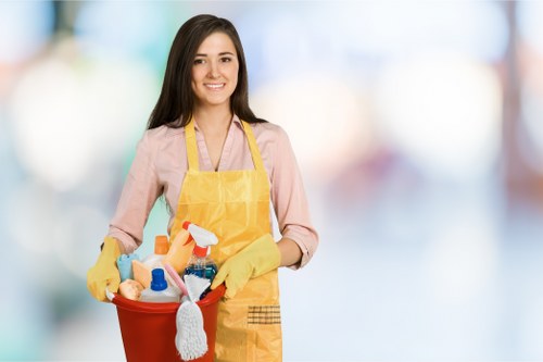Commercial cleaner in Hollandpark keeping an office spotless
