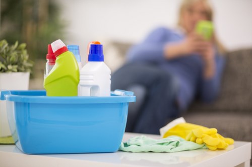 Professional cleaning company service in Hollandpark for homes and offices