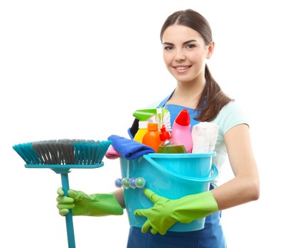 Detailed bathroom deep cleaning service in Hollandpark