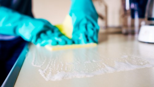 Cleaner in Hollandpark maintaining a tidy apartment interior