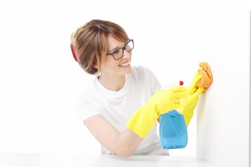 Residential hard floor cleaning results in a Hollandpark home