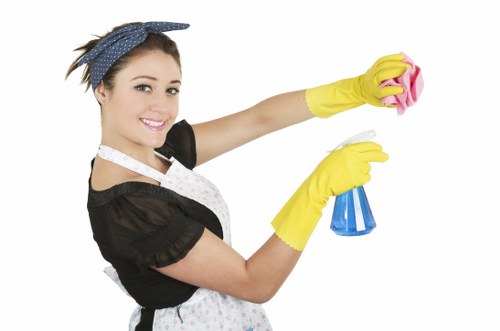 Kitchen deep cleaning during end of tenancy cleaning in Hollandpark