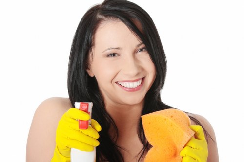 Example carpet cleaning jobs in local apartments and period homes