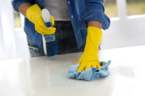 Office cleaners vacuuming carpets and tidying a modern Hollandpark office