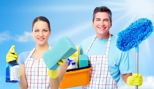 Deep steam carpet cleaning equipment in a Hollandpark home