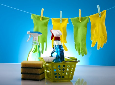 Detailed carpet care process for different fibre types in Holland Park
