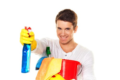 Local Hollandpark cleaners handling detailed property cleaning tasks