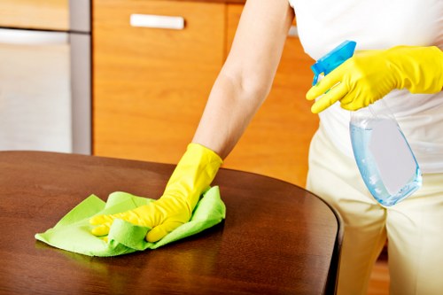Cleaners in Hollandpark preparing a tidy office space for business use