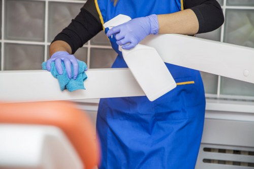 Hollandpark cleaners performing detailed kitchen cleaning in a bright home