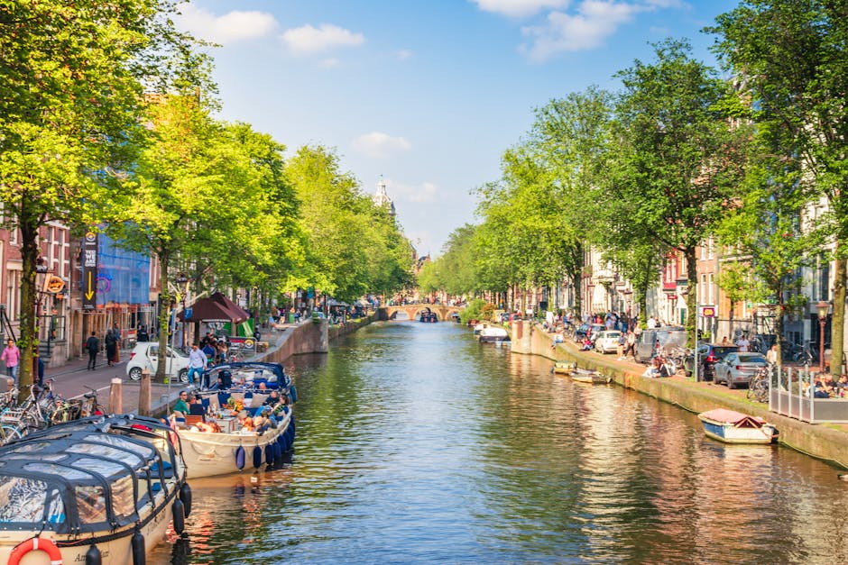 A scenic view of a tranquil canal running through a residential area with leafy green trees lining both sides. Along the water's edge, there are moored boats, some covered with protective tarps. The street beside the canal features parked cars, bicycles, and walking pedestrians. The buildings across the canal exhibit a mix of brick and stucco facades, with some construction scaffolding visible. Bright daylight illuminates the scene, highlighting the vibrant green foliage and the clean surface of the canal water, which reflects the surrounding environment. This peaceful setting underscores the importance of regular surface cleaning and maintenance in urban outdoor spaces, similar to the professional cleaning services offered by Carpet Cleaning Holland Park for residential and commercial environments near W11.
